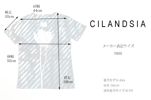 CILANDSIA(チランドシア) シルクスクリーンプリントTシャツ 線 メンズ レディース