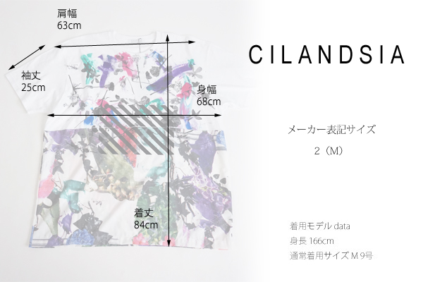 CILANDSIA(チランドシア) オーバーサイズ プリントTシャツ チュニック メンズ レディース