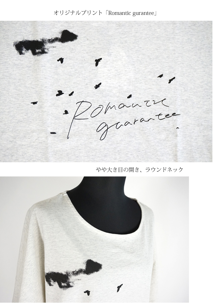 tiny dinosaur (タイニーダイナソー) オリジナルプリントゆるTシャツ レディース