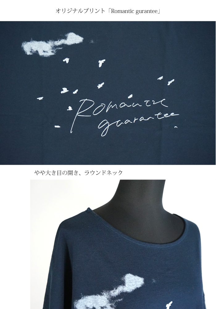 tiny dinosaur (タイニーダイナソー) オリジナルプリントゆるTシャツ レディース